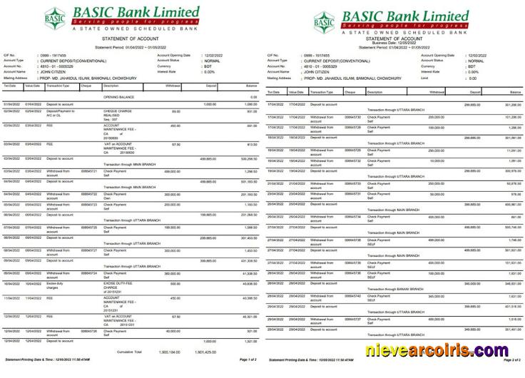 Bangladesh Basic bank statement Word and PDF, 2 pages